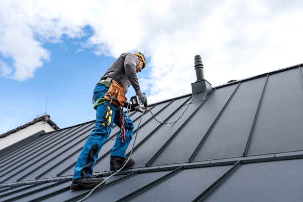 Best Metal Roofing Installation  in Logan Elm Village, OH